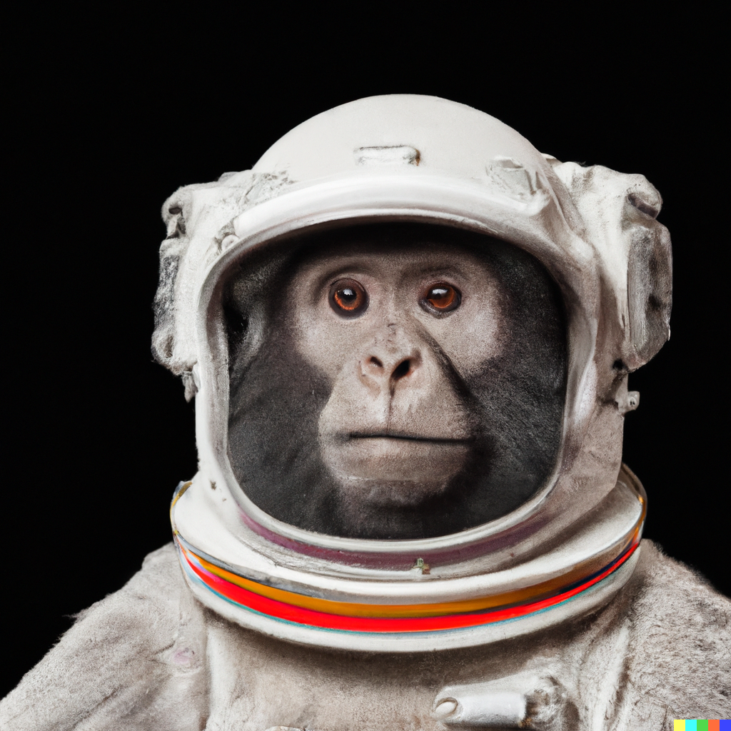 monkey astronaut